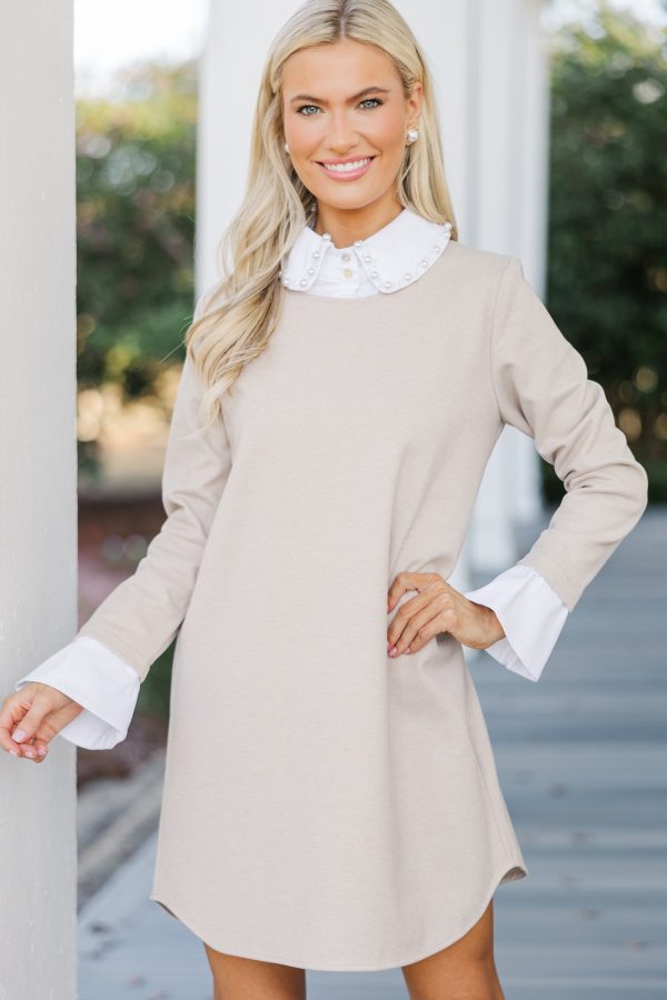 A Little Something More Taupe Embellished Dress For Sale